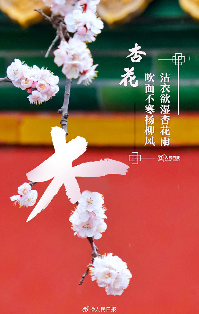 收藏美好！當漢字與春天不期而遇