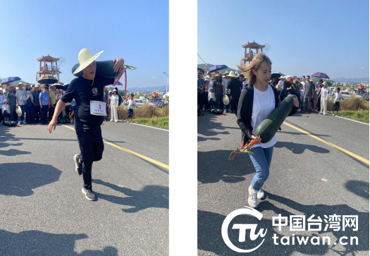 禮讚豐收，同心共慶——臺青跨越海峽參與武平2025年中國農民豐收節暨田野音樂會活動