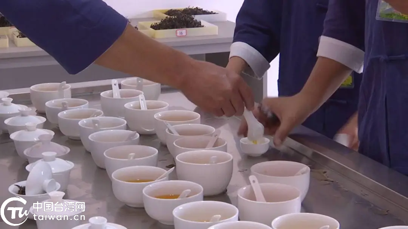 2025年明臺職工美人茶制茶技能競賽在福建大田舉行 2025年明臺職工美人茶制茶技能競賽在福建大田舉行