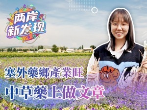 【兩岸新發現】塞外藥鄉産業旺 中草藥上做文章