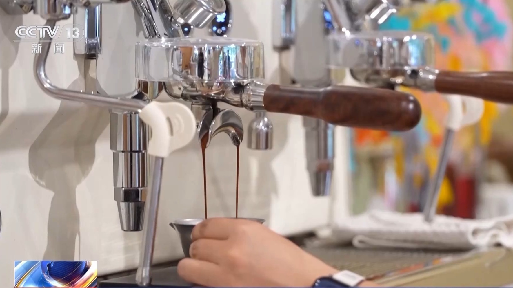 精品率97％！這份新職業讓咖啡從鮮果到熟豆都“有標準”