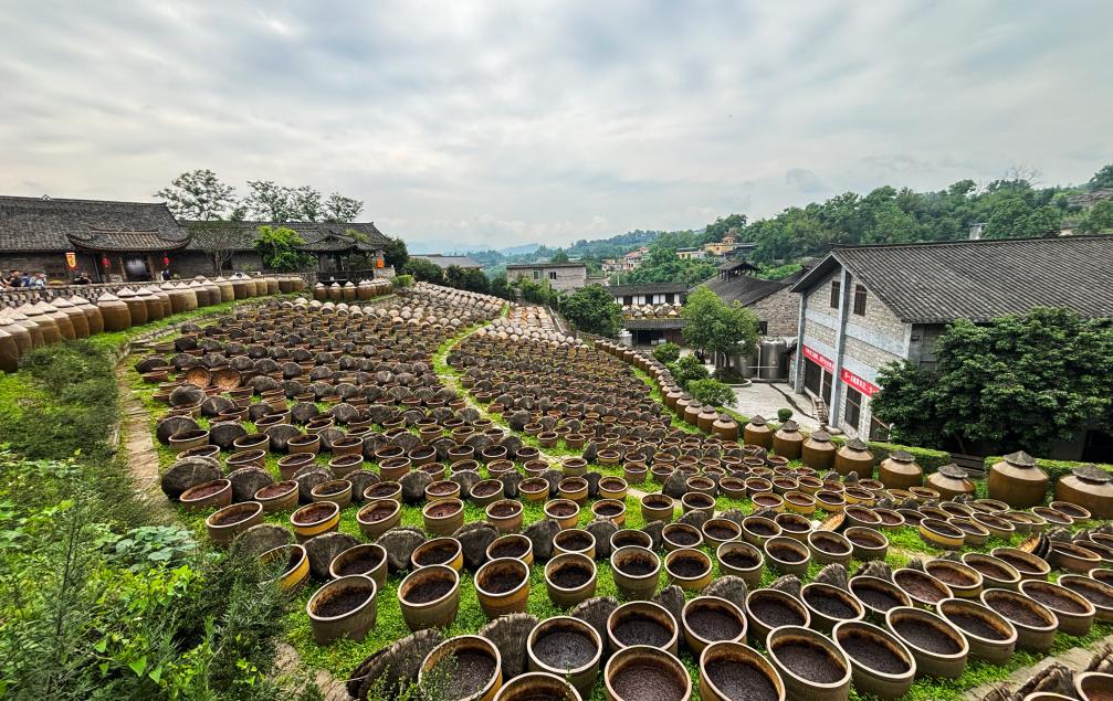 長江上游三個古鎮的生態“蝶變”