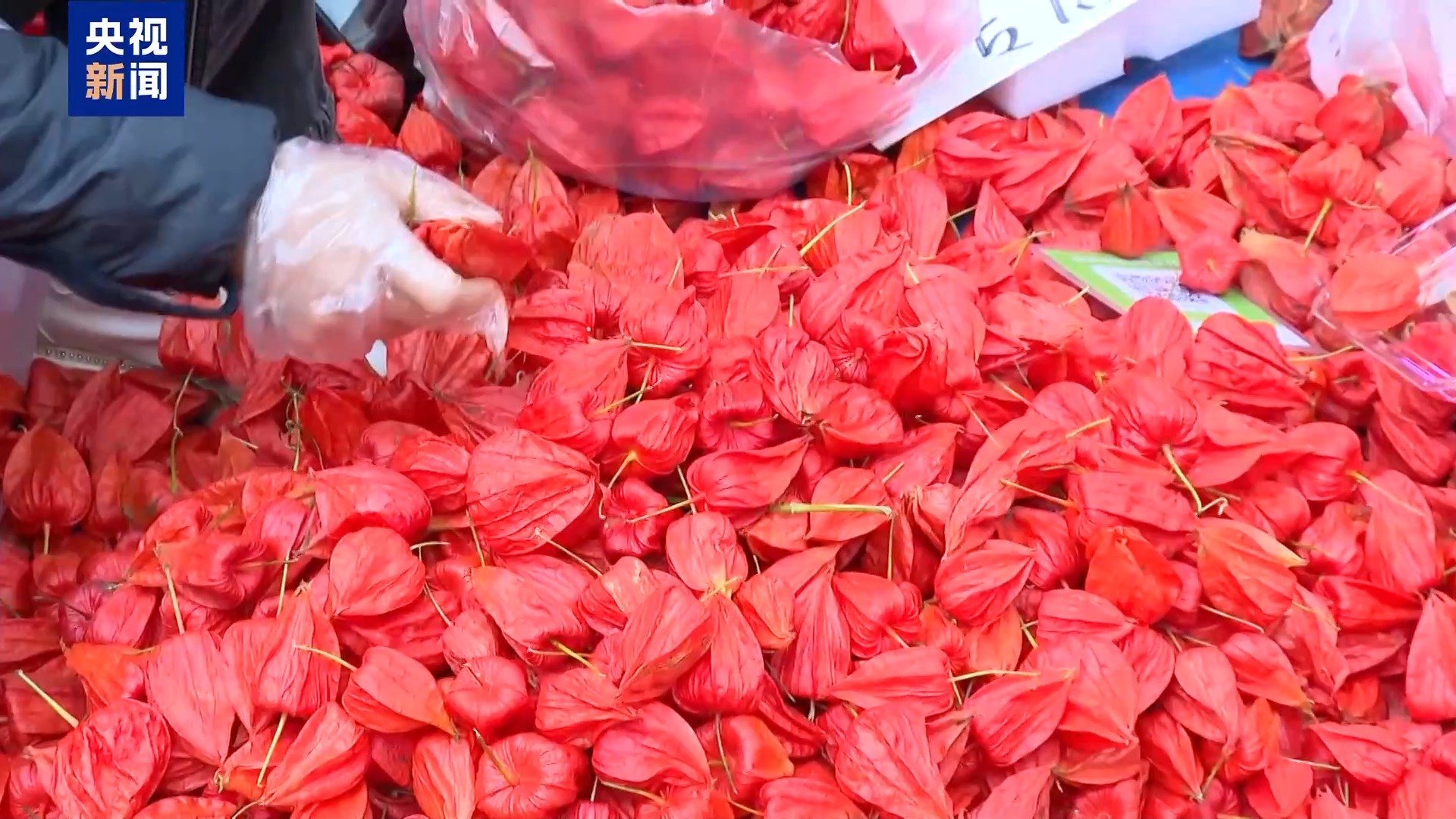 南北早餐圖鑒：煙火氣裏藏著豐收密碼