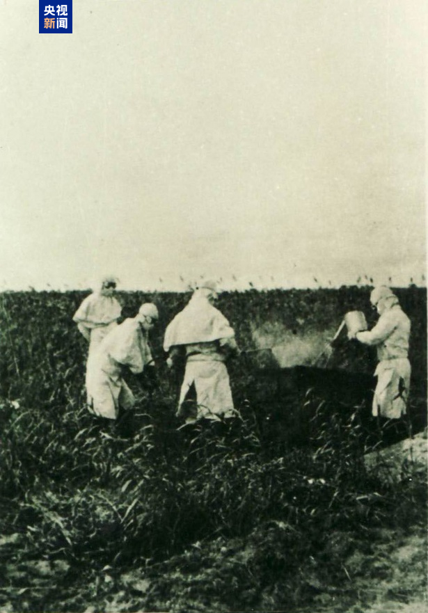 罪證確鑿！原隊員證實731部隊用飛機降雨式播撒細菌