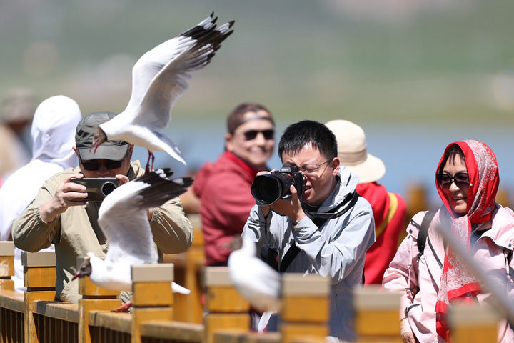 譜寫向“綠”向“新”的協奏曲——黃河上游生態保護和高品質發展的甘肅實踐