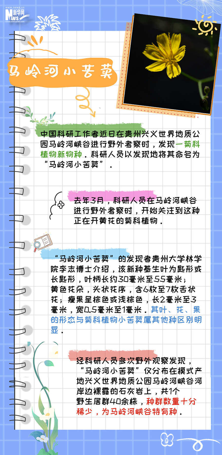 這本植物手冊裏藏的都是“限量款”