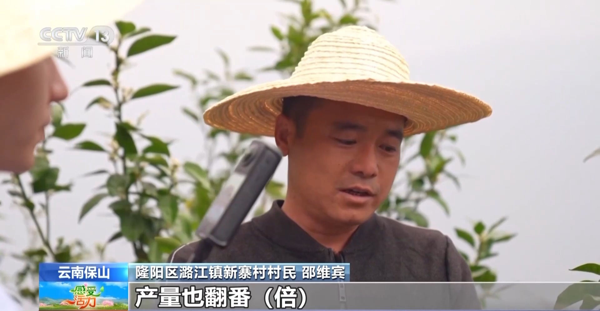 好喝好玩好美！總臺主播來到雲南 見了一位“大咖”……