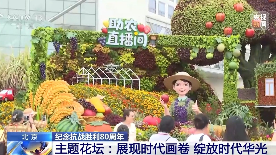 10組主題花壇亮相長安街沿線 紀念抗戰勝利80週年