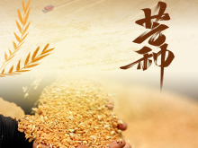 節令之美·芒種｜孟夏將盡 仲夏登場