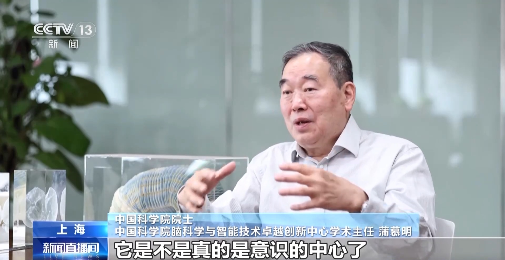 中國腦圖譜研究系列成果集中發佈 珍貴數據供國內外學者研究