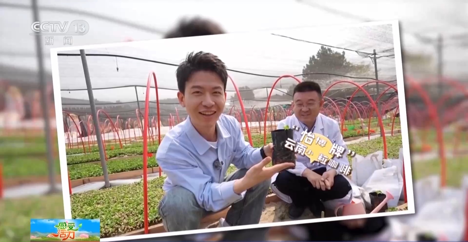 好喝好玩好美！總臺主播來到雲南 見了一位“大咖”……