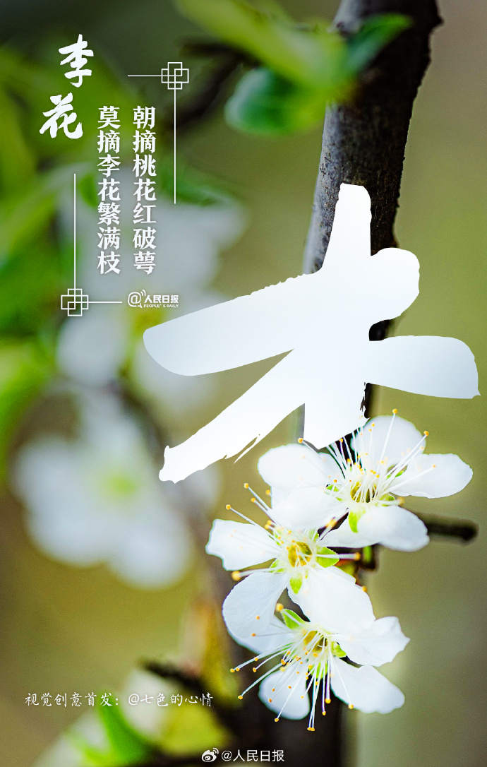 收藏美好！當漢字與春天不期而遇