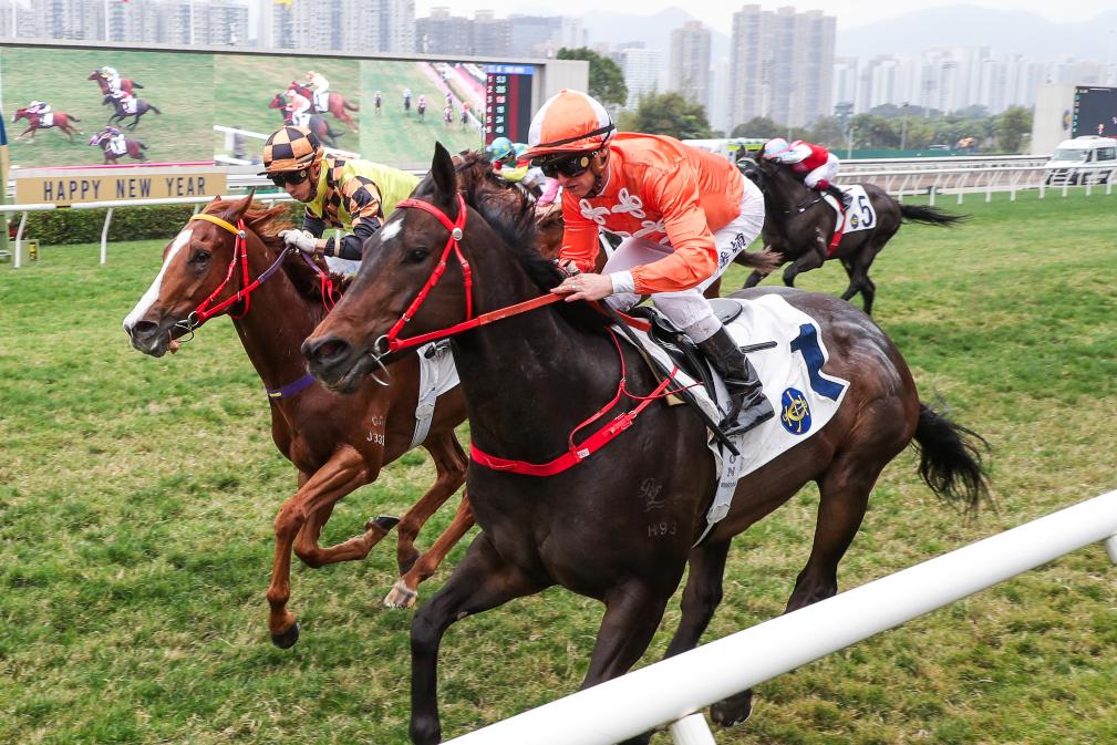 香港2025年新年賽馬日觀眾人數創六年來新高