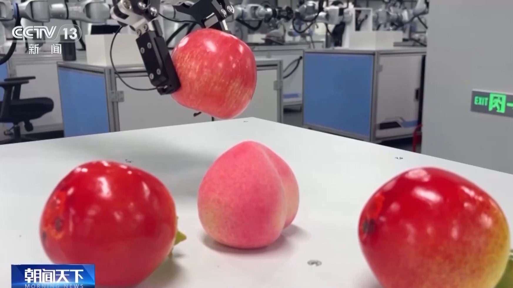 全國最大人形機器人訓練基地什麼樣？總臺記者探訪