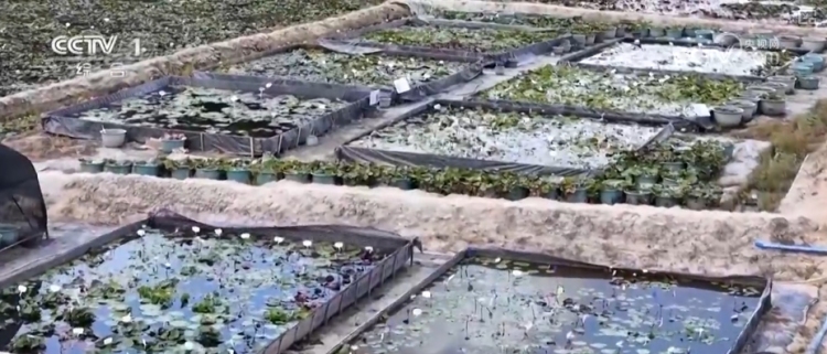 産業興、文旅熱,添活力!多業態融合點亮廣袤鄉村多元消費新潛力 産業興、文旅熱,添活力!多業態融合點亮廣袤鄉村多元消費新潛力