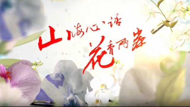 雲南首部兩岸花卉文旅微短劇《山海心語 花香兩岸》（第六集）_fororder_截圖錄屏_選擇區域_20251127154727
