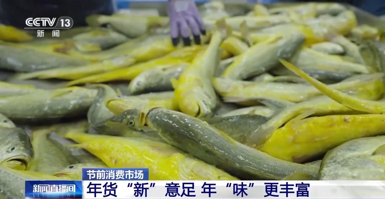 南貨北上 年貨“新”意足 年味更豐富 南貨北上 年貨“新”意足 年味更豐富