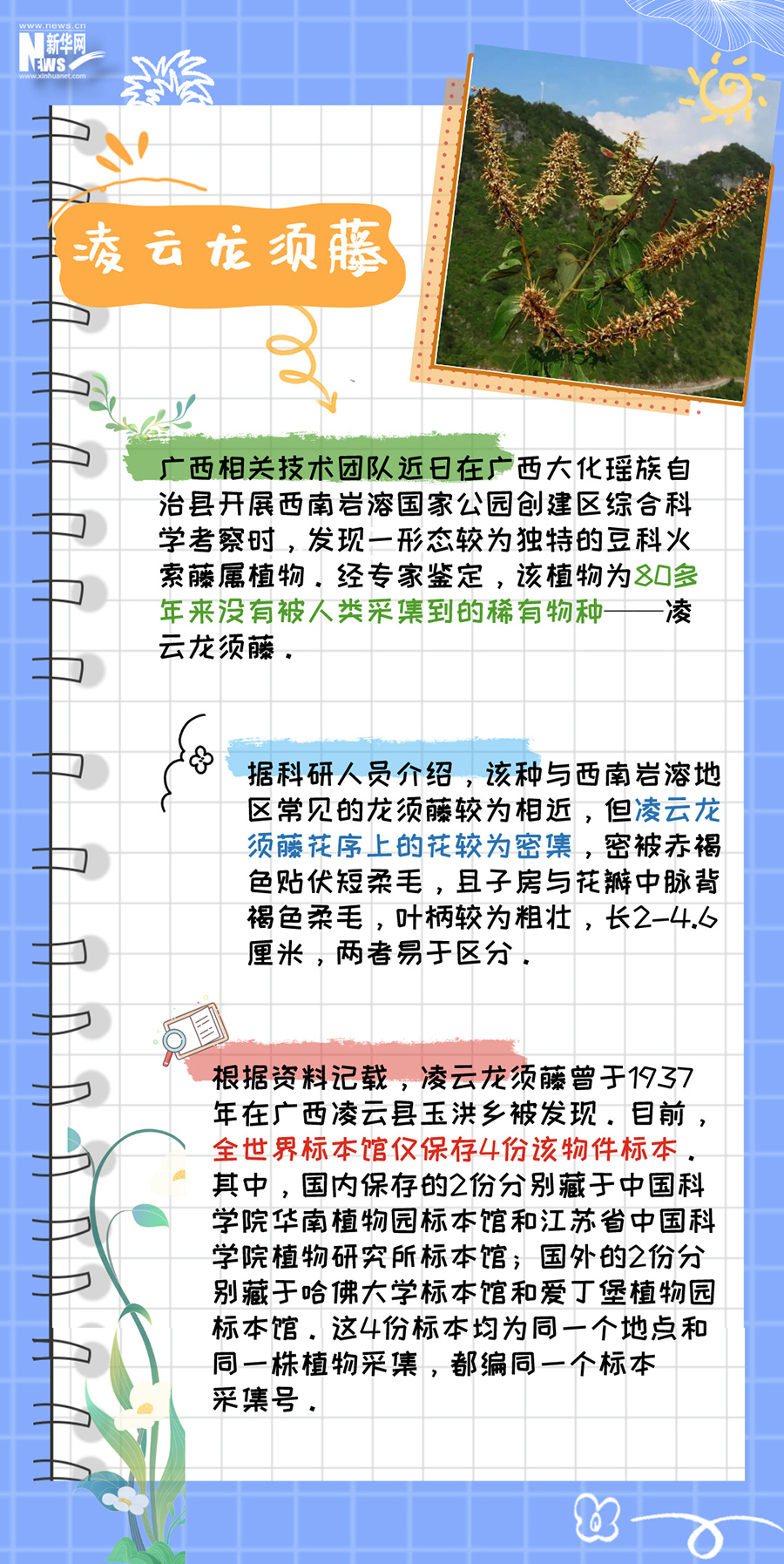 這本植物手冊裏藏的都是“限量款”