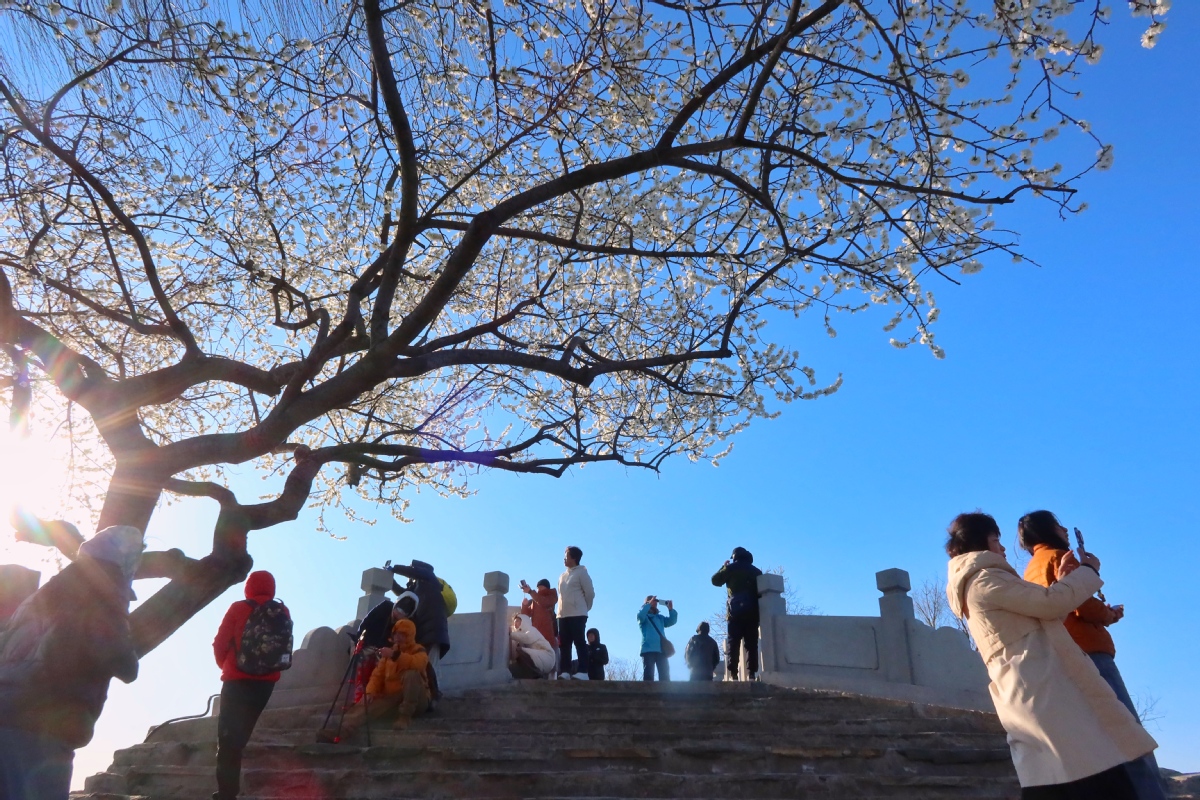 北京:頤和園春色漸濃 北京:頤和園春色漸濃