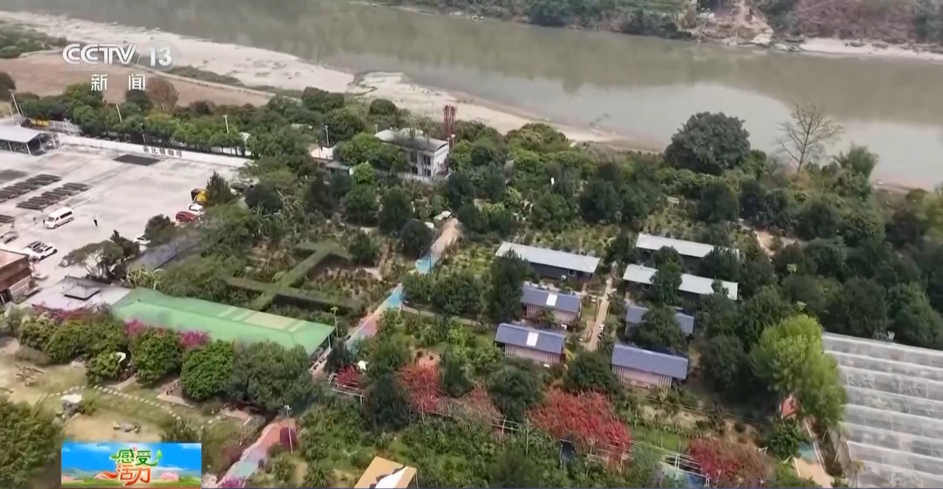 好喝好玩好美！總臺主播來到雲南 見了一位“大咖”……