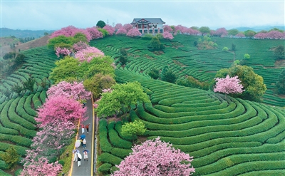 臺商臺企新春奮戰勁頭足—— “在大陸投資興業，我們倍感踏實！”