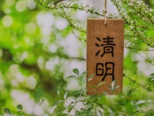 “每逢清明,這細細密密的雨便將兩岸同胞最深沉的思念連接在一起” “每逢清明,這細細密密的雨便將兩岸同胞最深沉的思念連接在一起”