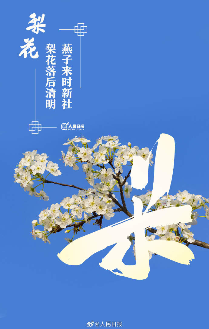 收藏美好！當漢字與春天不期而遇
