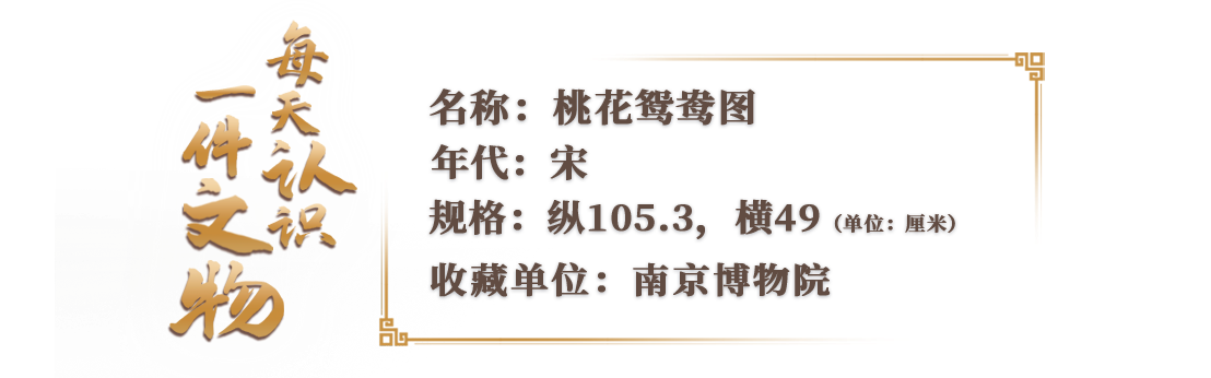 今日七夕，鵲橋下游來一對鴛鴦
