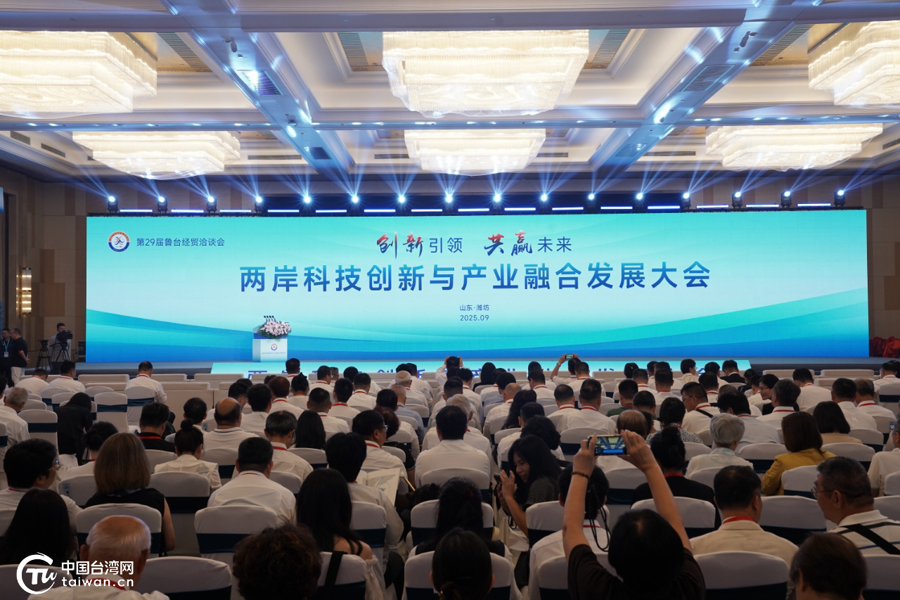 鳶都煥彩，魯臺同輝！第29屆魯臺經貿洽談會在濰坊開幕