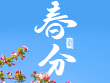 春和景明萬象更新 今日迎來“春分”節氣