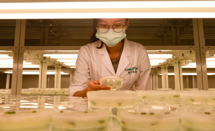 新的偉大奮鬥創造新的歷史偉業——以習近平同志為核心的黨中央引領“十四五”經濟社會發展紀實