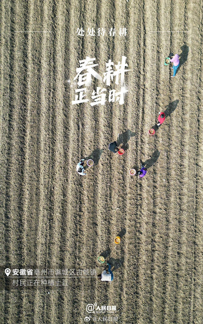 不負春光！各地陸續進入春耕時節