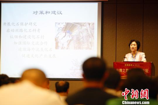 古生物化石專家齊聚新疆鄯善共謀絲綢之路化石保護 古生物化石專家齊聚新疆鄯善共謀絲綢之路化石保護