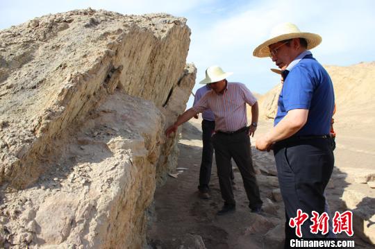 古生物化石專家齊聚新疆鄯善共謀絲綢之路化石保護 古生物化石專家齊聚新疆鄯善共謀絲綢之路化石保護