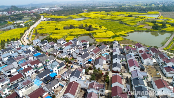 中國迅速崛起：外國網友説了解中國的人都不驚訝