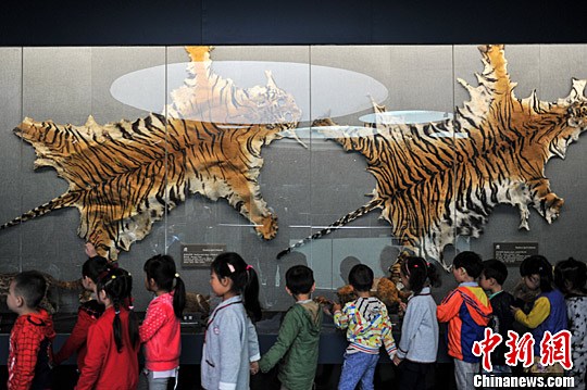 全國科普日 昆明小學生走進動物博物館學知識