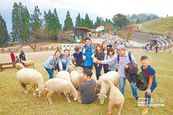 臺當局增大陸赴臺自由行配額 旅遊業者:本來也用不完