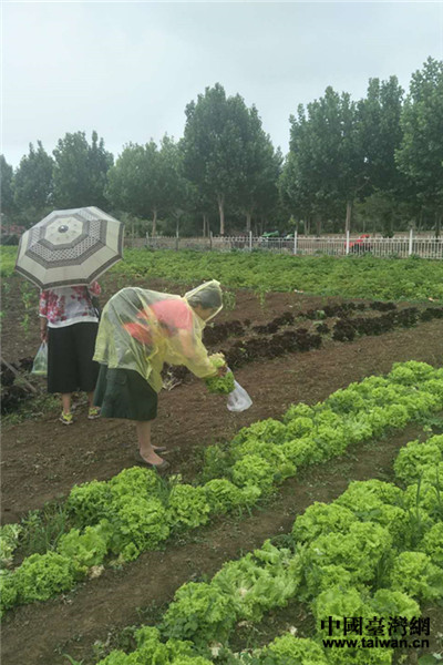 在京臺胞齊聚共迎端午佳節
