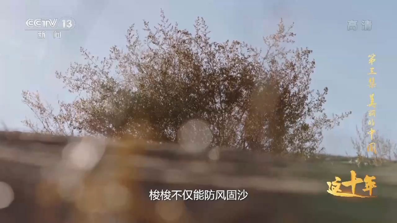 這十年丨美麗的中國