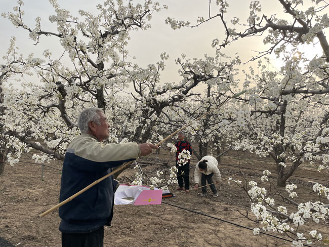 樹品牌強龍頭延鏈條 中原大地譜寫鄉村振興新篇章