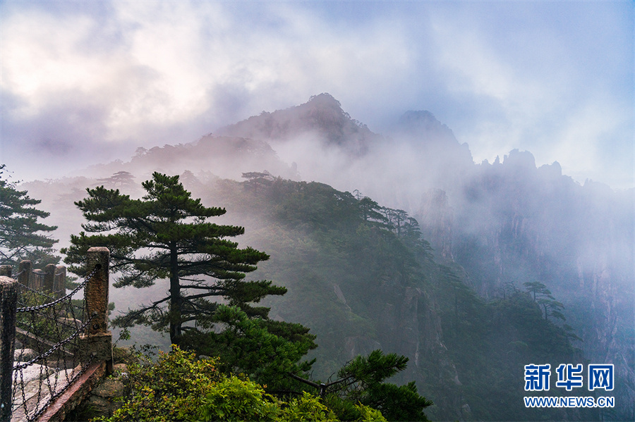 秋日黃山 雲蒸霞蔚