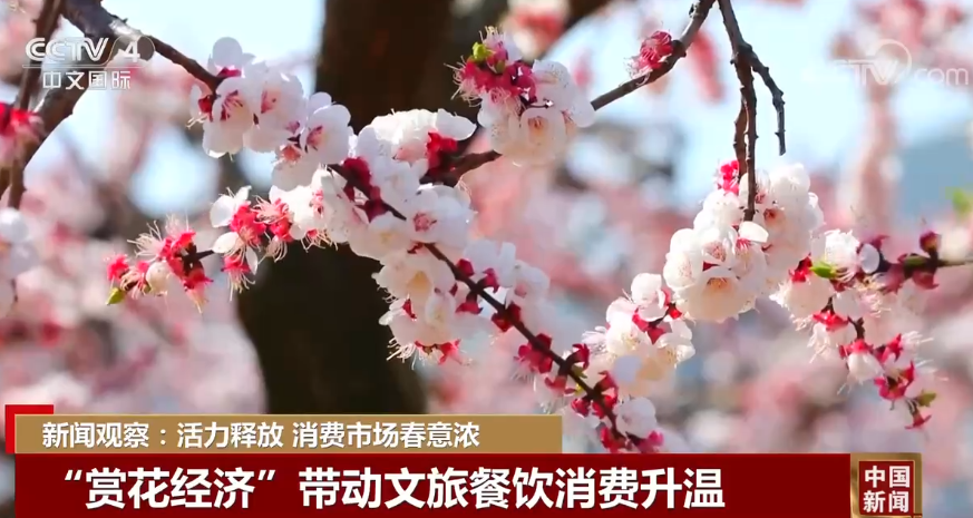 擴內需 強信心 中國消費復蘇步伐加快