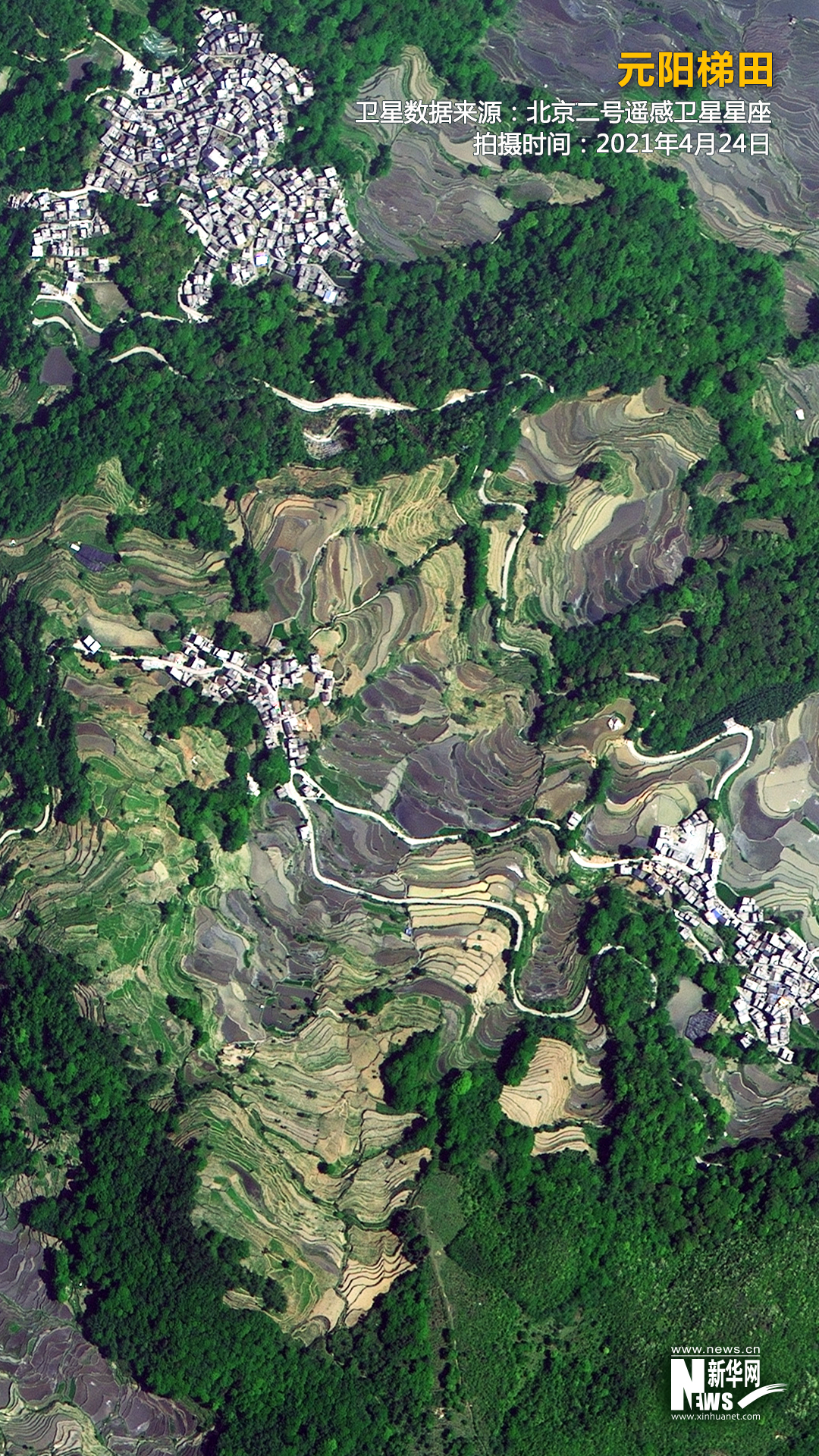 衛星“瞰”田丨梯田的實力超乎你的想像