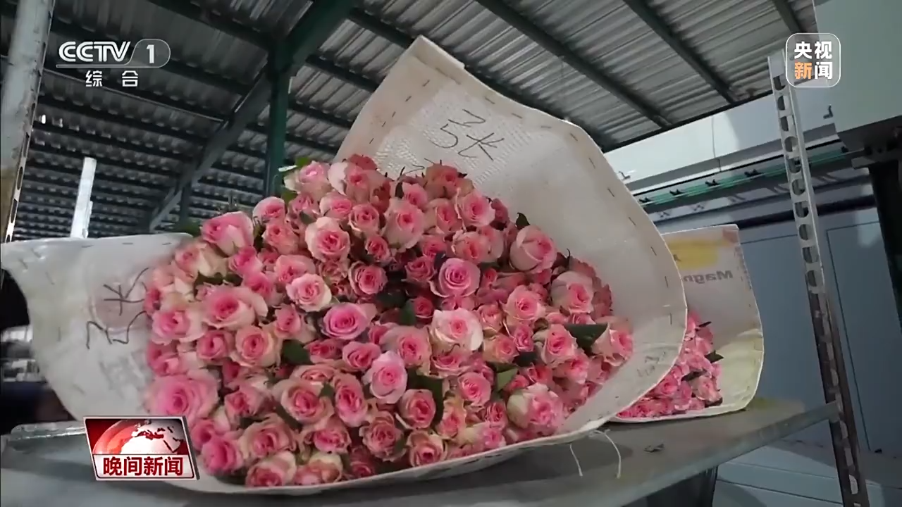 春暖花開時 看“美麗”經濟“一路生花”