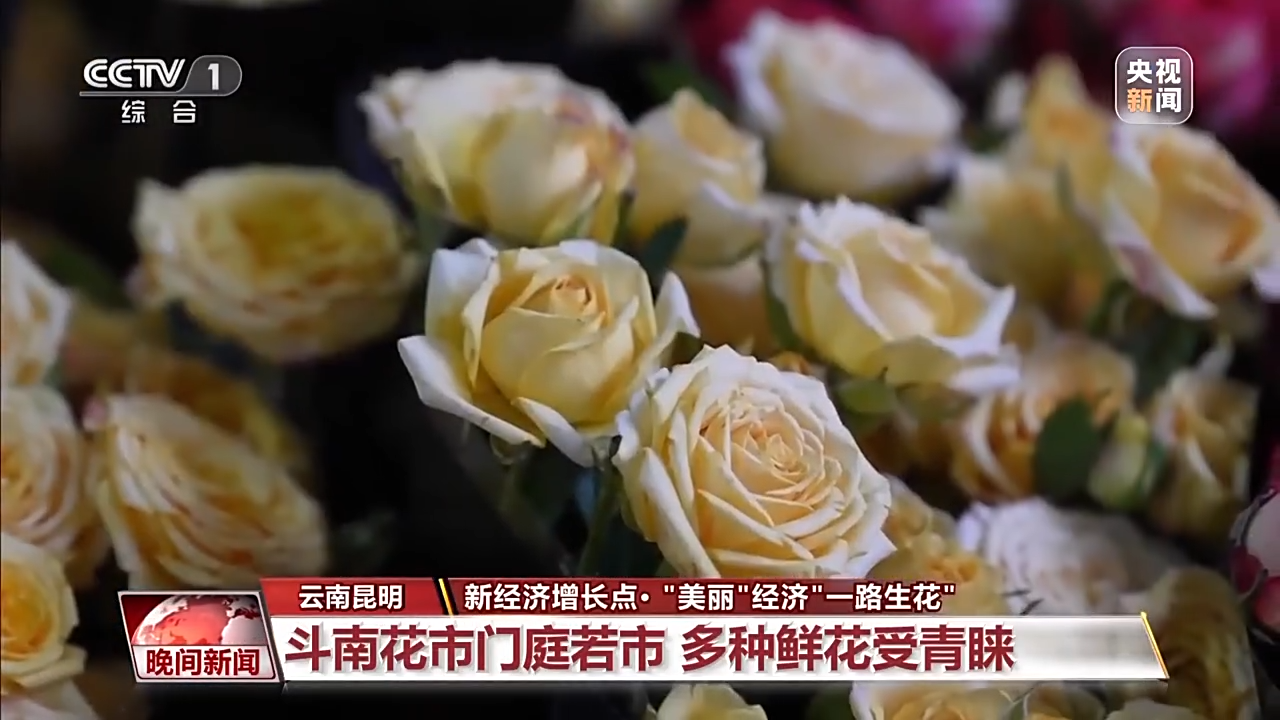 春暖花開時 看“美麗”經濟“一路生花”