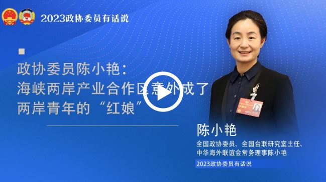 兩岸産業合作區意外成兩岸青年"紅娘"_fororder_捕獲1.JPG