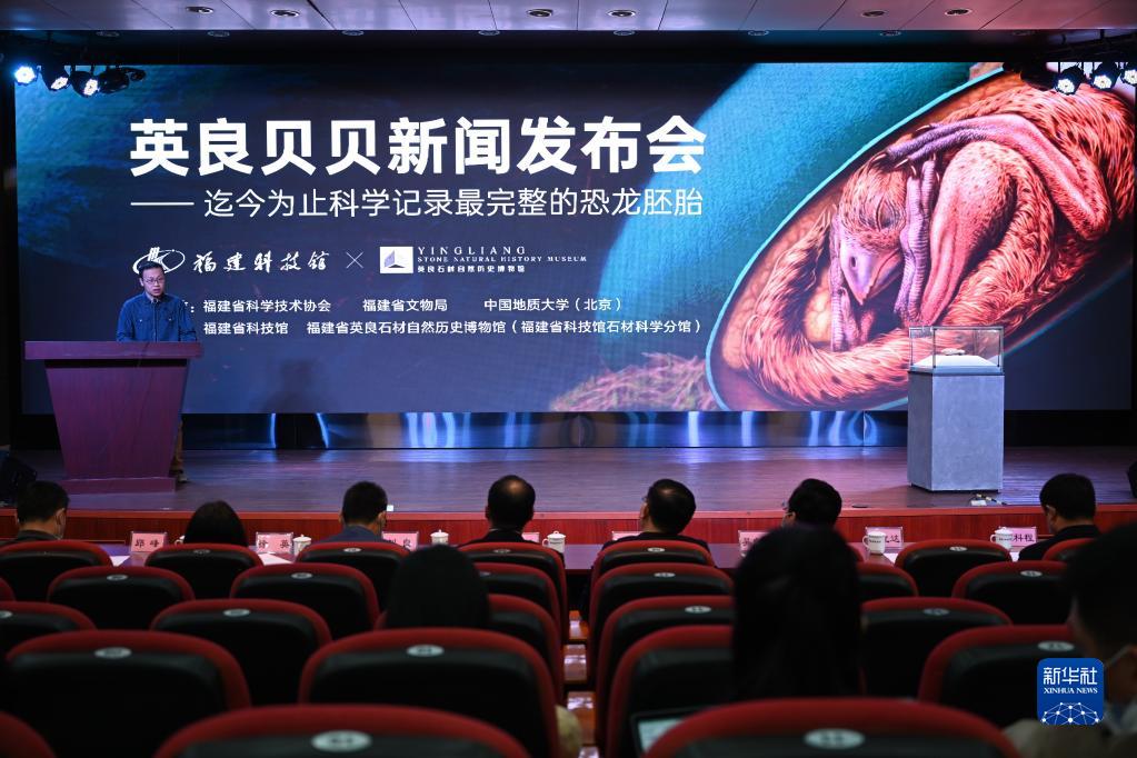 中國發現保存在恐龍蛋化石中的完美胚胎