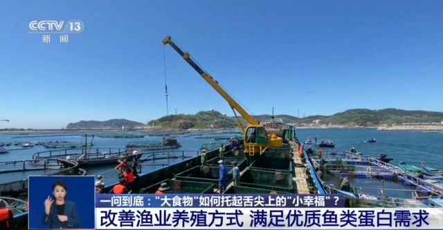 “大食物”如何托起舌尖上“小幸福”？水産養殖産業這樣發展