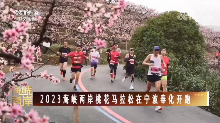 兩岸交流“春暖花開”需要更多的行動