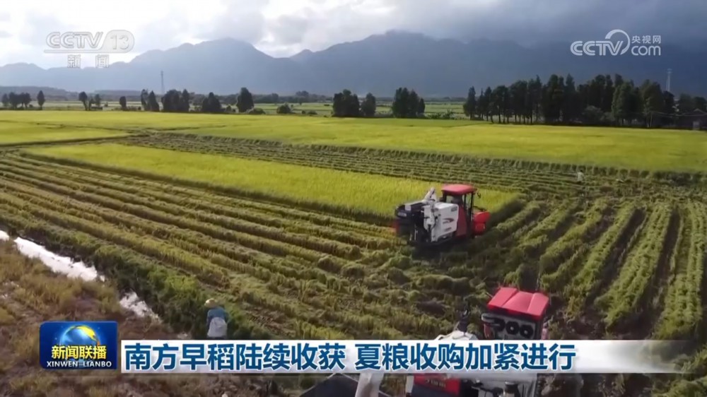 南方早稻陸續收穫 夏糧收購加緊進行